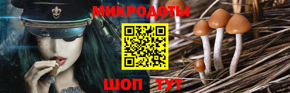 Галлюциногенные грибы мицелий Видное