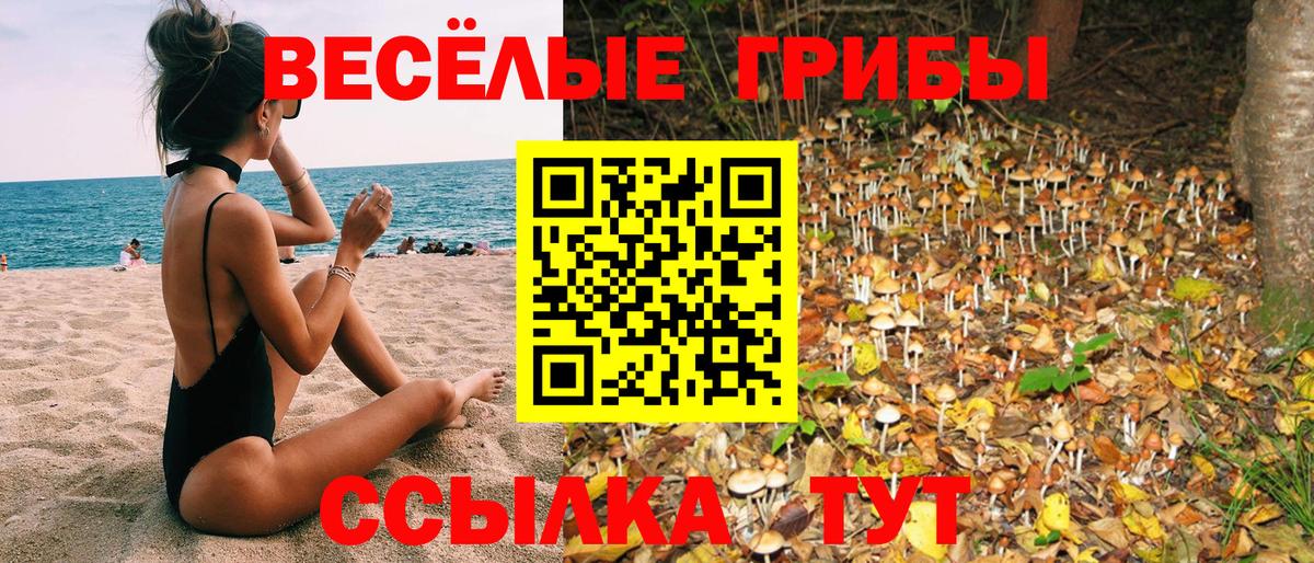 купить наркоту  Галлюциногенные грибы мухоморы  Галлюциногенные грибы MAGIC MUSHROOMS  Вход с VPN  Видное 